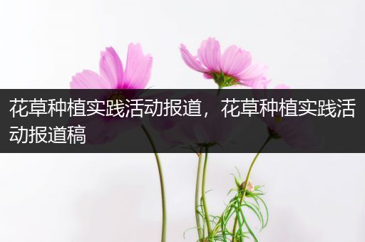 花草种植实践活动报道，花草种植实践活动报道稿