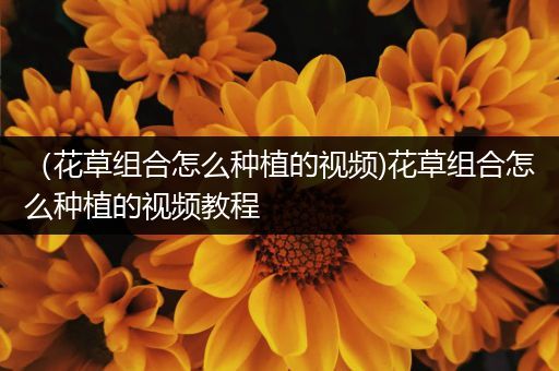 （花草组合怎么种植的视频)花草组合怎么种植的视频教程