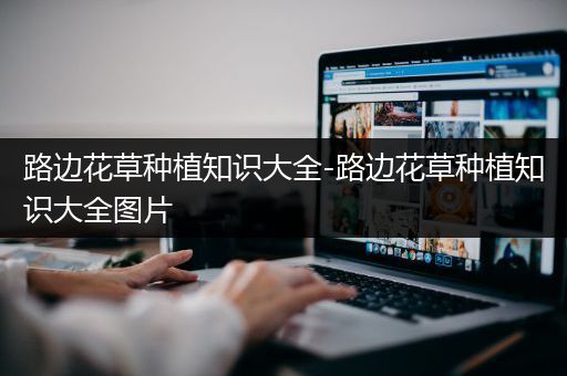 路边花草种植知识大全-路边花草种植知识大全图片