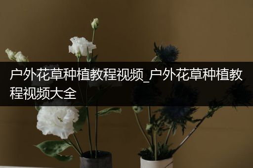户外花草种植教程视频_户外花草种植教程视频大全