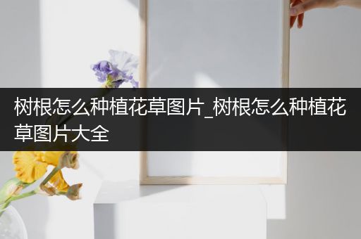 树根怎么种植花草图片_树根怎么种植花草图片大全