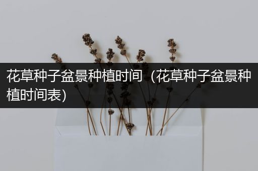 花草种子盆景种植时间（花草种子盆景种植时间表）