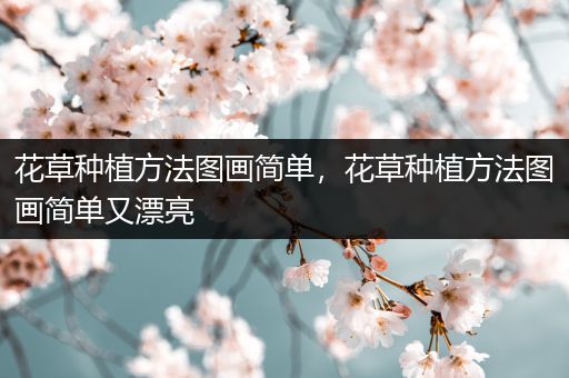 花草种植方法图画简单，花草种植方法图画简单又漂亮