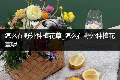 怎么在野外种植花草_怎么在野外种植花草呢