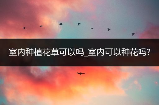 室内种植花草可以吗_室内可以种花吗?