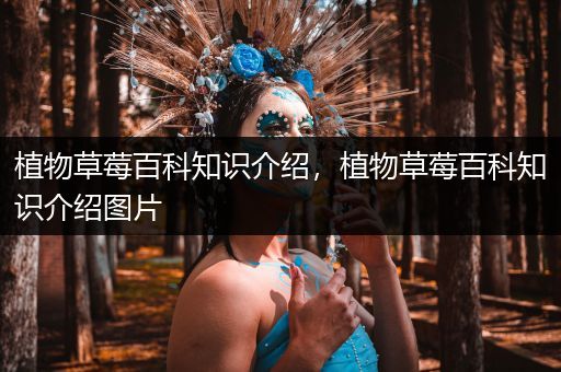 植物草莓百科知识介绍，植物草莓百科知识介绍图片