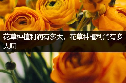 花草种植利润有多大，花草种植利润有多大啊