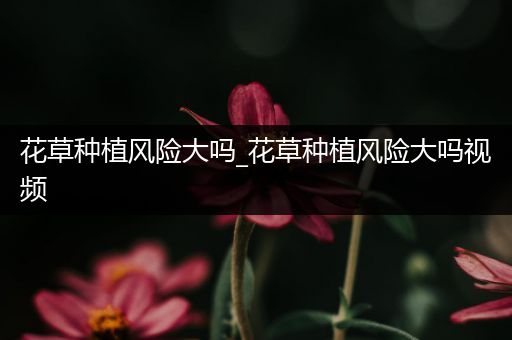 花草种植风险大吗_花草种植风险大吗视频