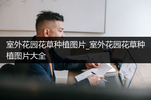 室外花园花草种植图片_室外花园花草种植图片大全