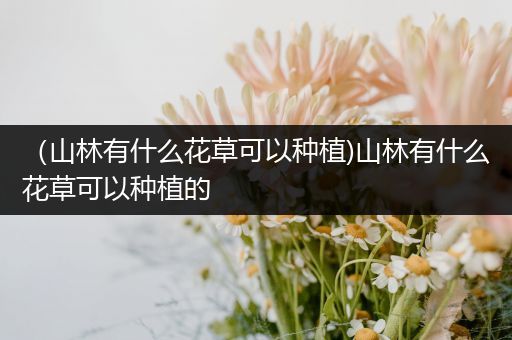 （山林有什么花草可以种植)山林有什么花草可以种植的