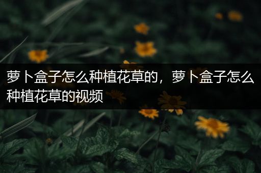 萝卜盒子怎么种植花草的，萝卜盒子怎么种植花草的视频