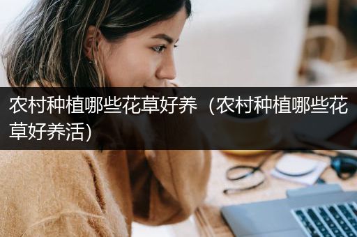 农村种植哪些花草好养（农村种植哪些花草好养活）