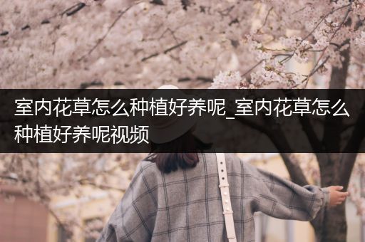 室内花草怎么种植好养呢_室内花草怎么种植好养呢视频