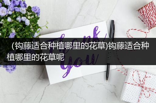 （钩藤适合种植哪里的花草)钩藤适合种植哪里的花草呢