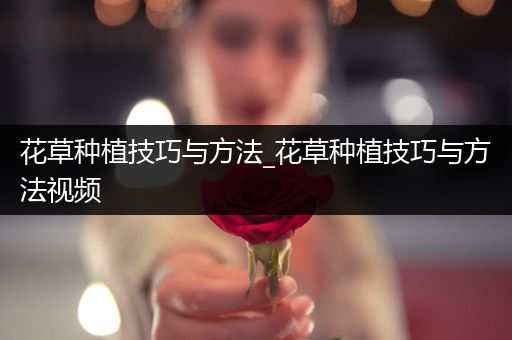 花草种植技巧与方法_花草种植技巧与方法视频