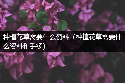 种植花草需要什么资料（种植花草需要什么资料和手续）