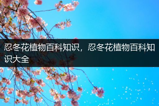 忍冬花植物百科知识，忍冬花植物百科知识大全