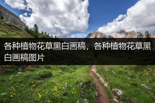 各种植物花草黑白画稿，各种植物花草黑白画稿图片