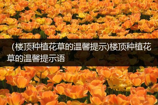 （楼顶种植花草的温馨提示)楼顶种植花草的温馨提示语