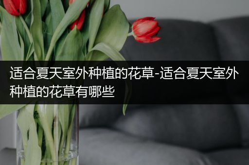 适合夏天室外种植的花草-适合夏天室外种植的花草有哪些