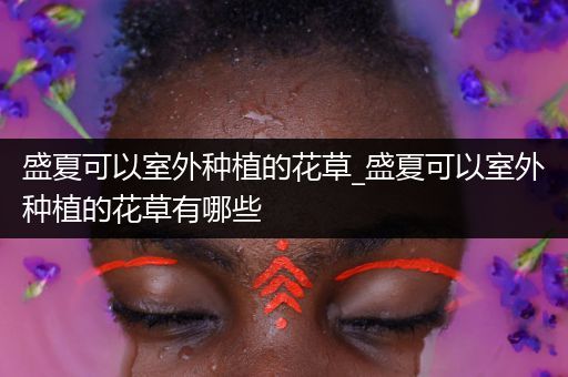 盛夏可以室外种植的花草_盛夏可以室外种植的花草有哪些