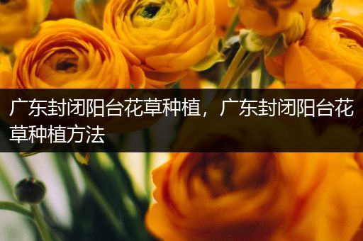 广东封闭阳台花草种植，广东封闭阳台花草种植方法