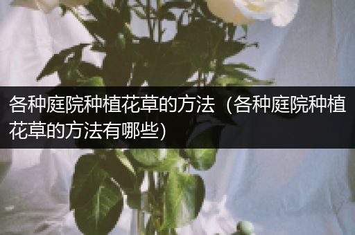 各种庭院种植花草的方法（各种庭院种植花草的方法有哪些）