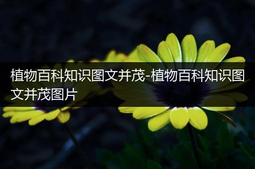 植物百科知识图文并茂-植物百科知识图文并茂图片