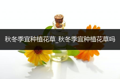 秋冬季宜种植花草_秋冬季宜种植花草吗