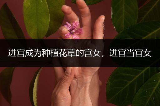进宫成为种植花草的宫女，进宫当宫女