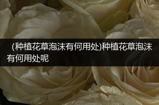 （种植花草泡沫有何用处)种植花草泡沫有何用处呢