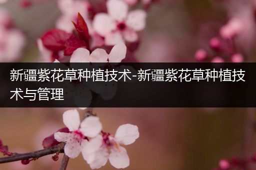 新疆紫花草种植技术-新疆紫花草种植技术与管理