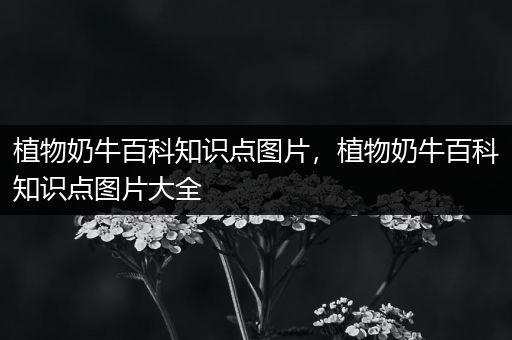 植物奶牛百科知识点图片，植物奶牛百科知识点图片大全