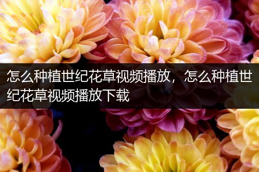 怎么种植世纪花草视频播放，怎么种植世纪花草视频播放下载