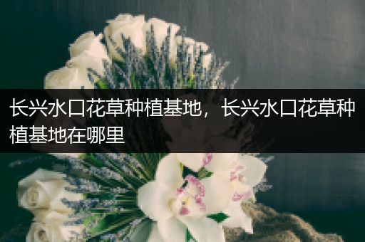 长兴水口花草种植基地，长兴水口花草种植基地在哪里