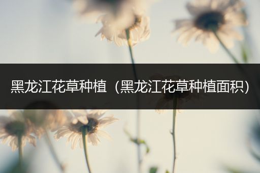 黑龙江花草种植（黑龙江花草种植面积）