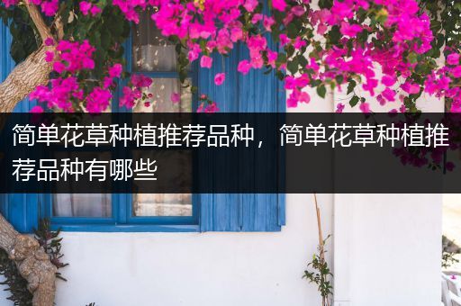 简单花草种植推荐品种，简单花草种植推荐品种有哪些