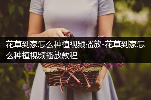 花草到家怎么种植视频播放-花草到家怎么种植视频播放教程