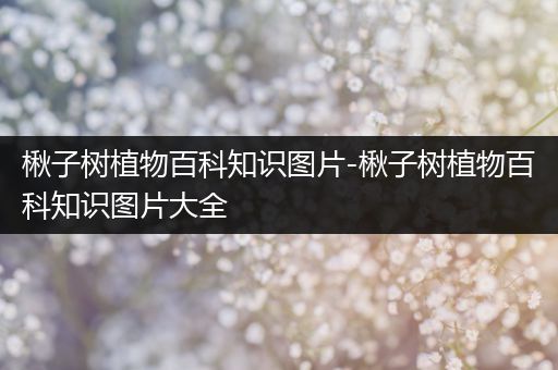 楸子树植物百科知识图片-楸子树植物百科知识图片大全