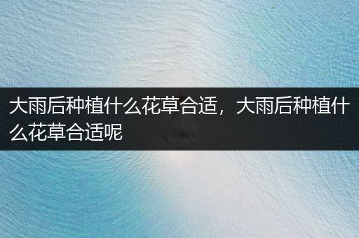 大雨后种植什么花草合适，大雨后种植什么花草合适呢
