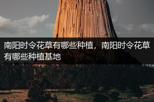 南阳时令花草有哪些种植，南阳时令花草有哪些种植基地