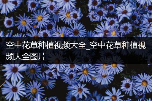空中花草种植视频大全_空中花草种植视频大全图片