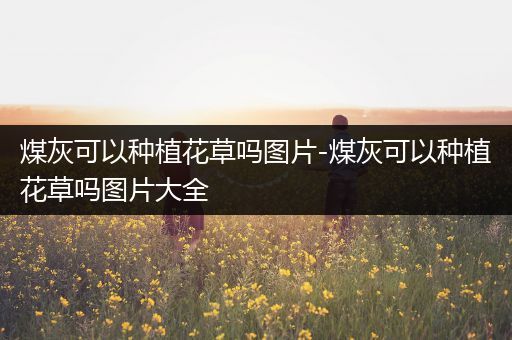 煤灰可以种植花草吗图片-煤灰可以种植花草吗图片大全