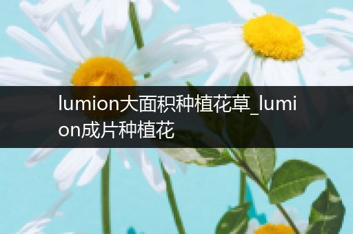 lumion大面积种植花草_lumion成片种植花