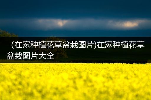 （在家种植花草盆栽图片)在家种植花草盆栽图片大全