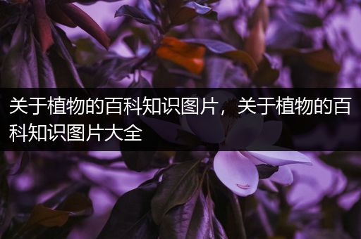 关于植物的百科知识图片，关于植物的百科知识图片大全