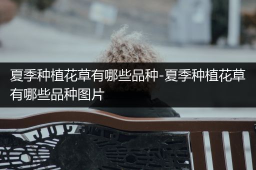 夏季种植花草有哪些品种-夏季种植花草有哪些品种图片