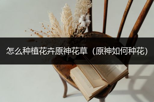 怎么种植花卉原神花草（原神如何种花）