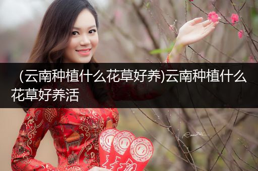 （云南种植什么花草好养)云南种植什么花草好养活