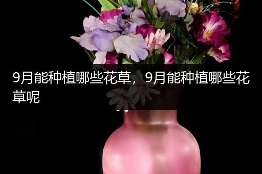 9月能种植哪些花草，9月能种植哪些花草呢
